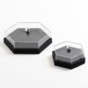 WhatsApp Image 2026-08-11 at 3.18.17 PM Eclipse Octagon Showcase (Set of 2)