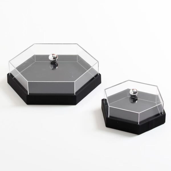 Eclipse Octagon Showcase  (Set of 2)