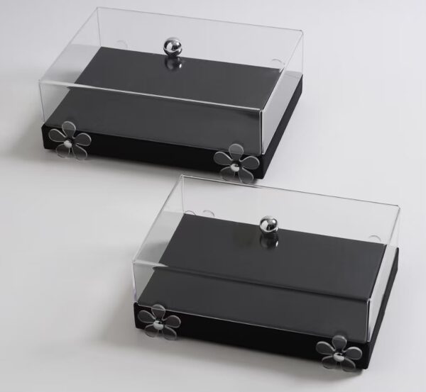 Eclipse Display Box  (Set Of 2)? Floral Acrylic