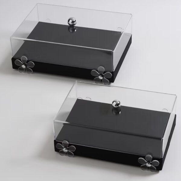Eclipse Display Box  (Set Of 2)? Floral Acrylic