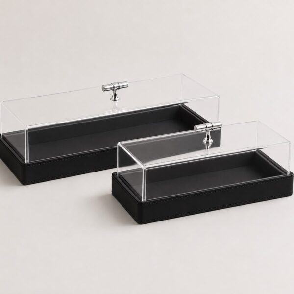 Eclipse Rectangle Display Showcase (Set of 2)
